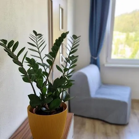 Brave Apartment