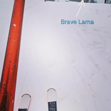 Brave Танвальд