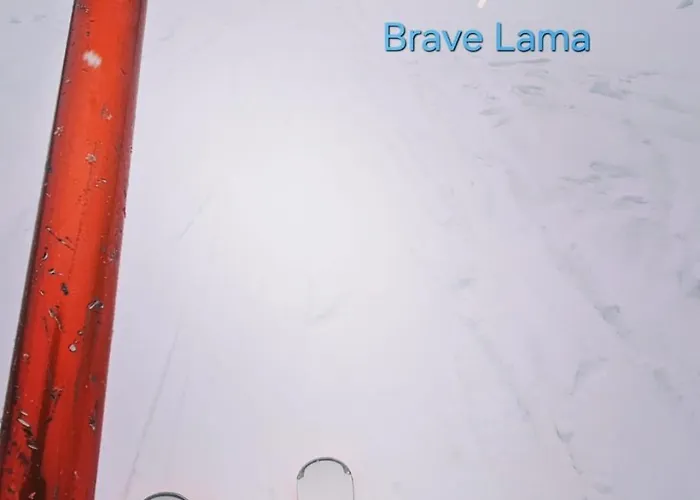 Brave Tanvald